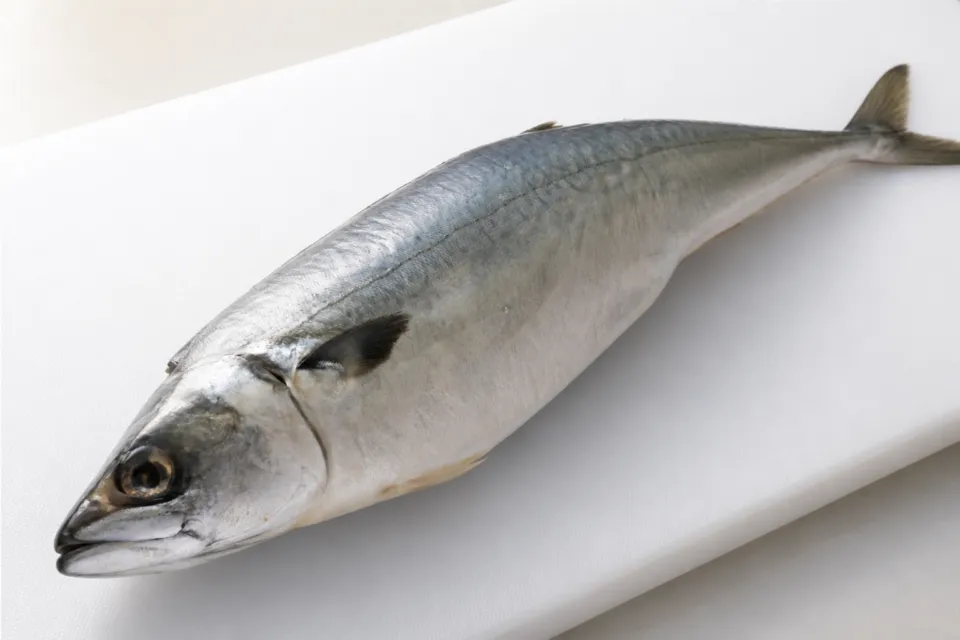 柿の葉すし ひょうたろうの鯖と鮭をおろす工程