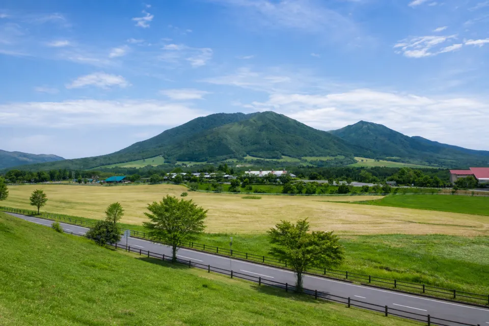 休暇村蒜山高原の客室から望む夏の蒜山三座