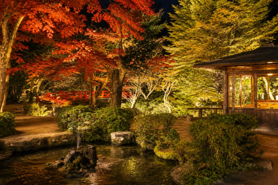 みやじまの宿 岩惣のライトアップされた庭園