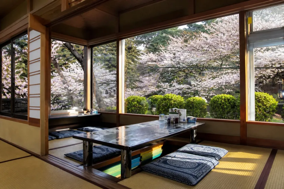 逢坂山かねよ 本店の桜を望む座敷