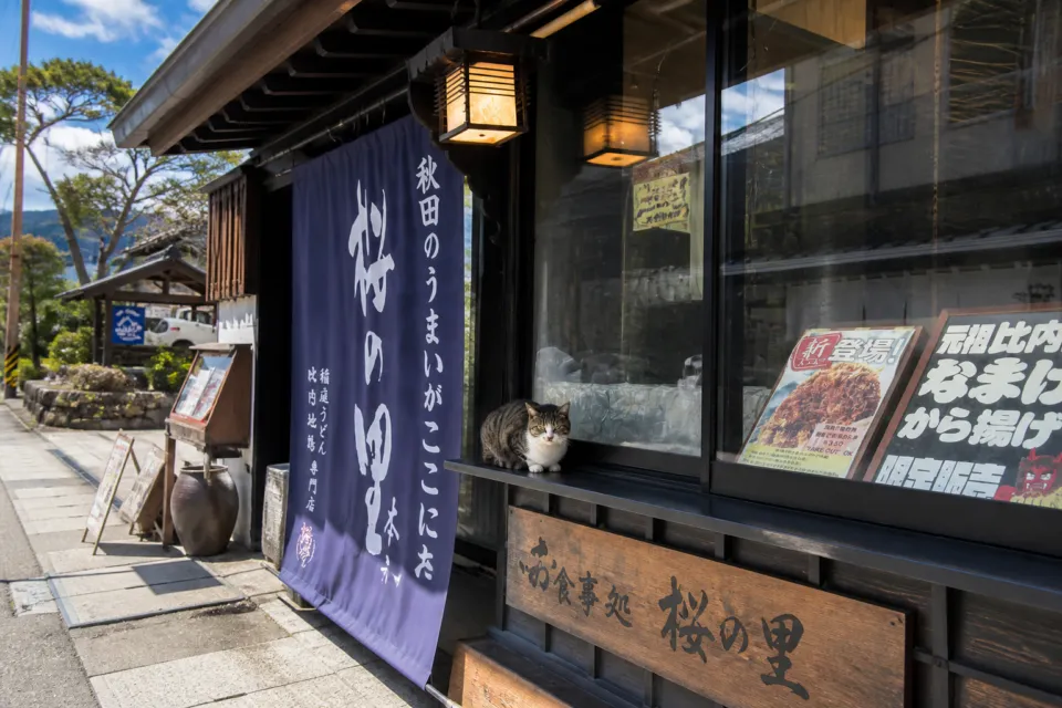 お食事処 桜の里のテイクアウト窓口