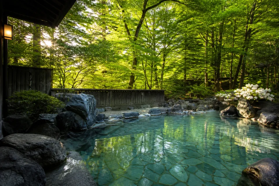 積善館の木立に囲まれた露天風呂 杜の湯