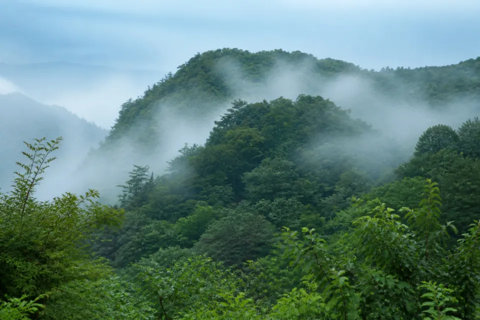 SÉNの霧をまとった天川の山並み
