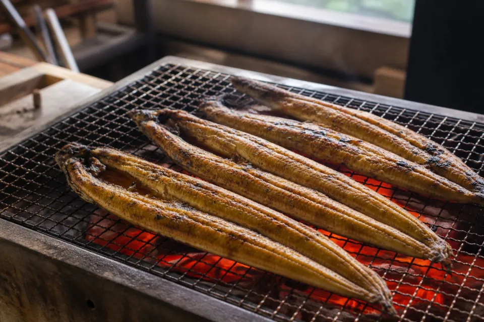四万十屋の天然うなぎの蒲焼き