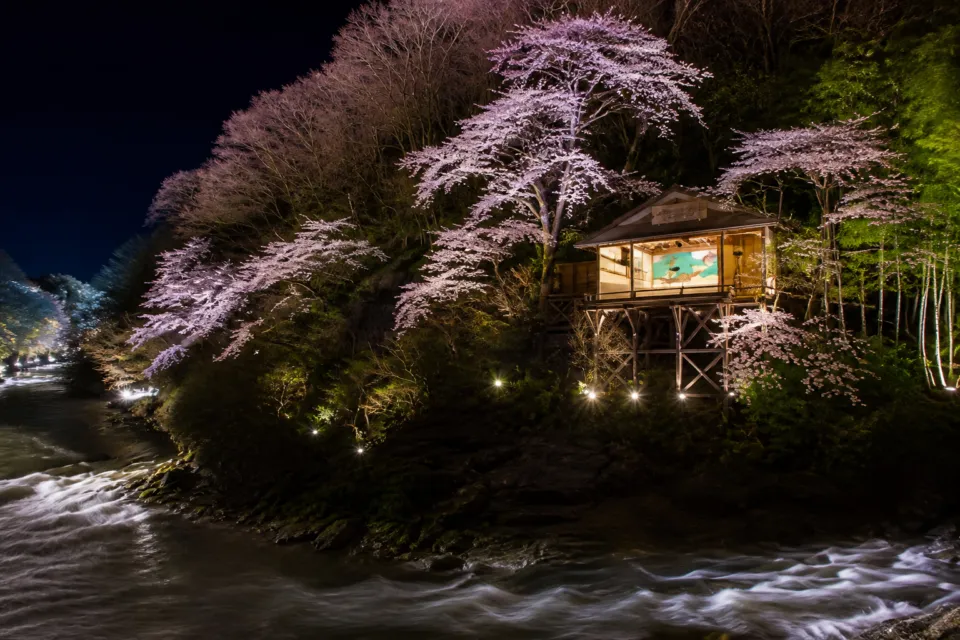 庄助の宿 瀧の湯の能舞台と夜桜