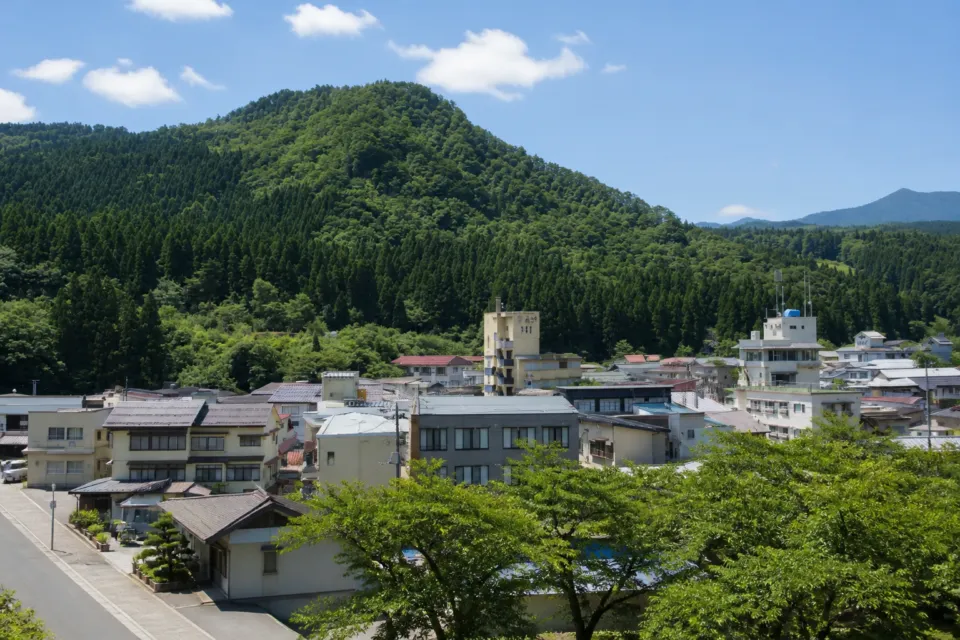 鈴の宿 登府屋旅館の小野川温泉街の眺め