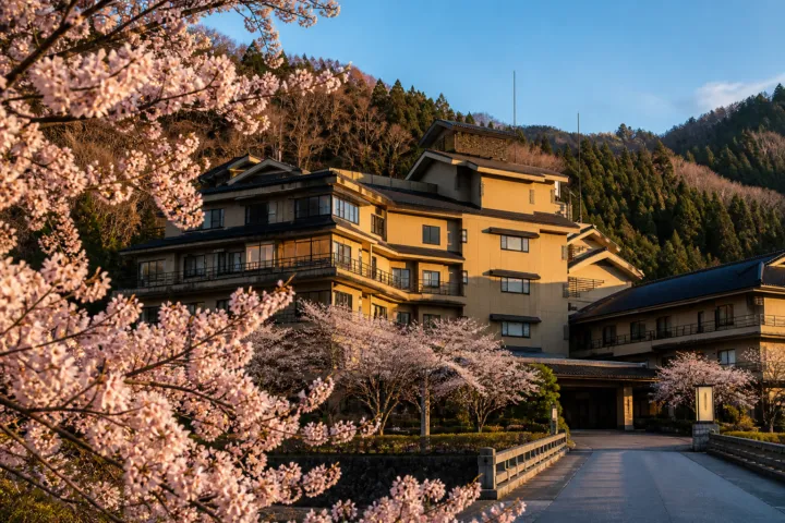 たちばなやの桜越しに望む建物外観