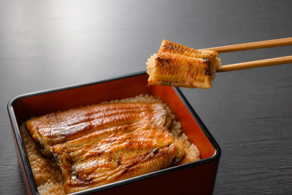 魚登久の箸で持ち上げた蒲焼