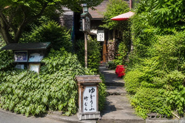 湯どうふ 竹むらの緑に囲まれた外観