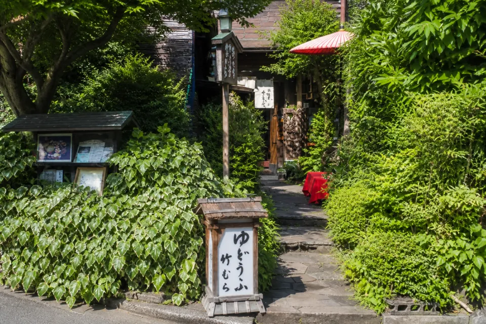 湯どうふ 竹むらの緑に囲まれた外観