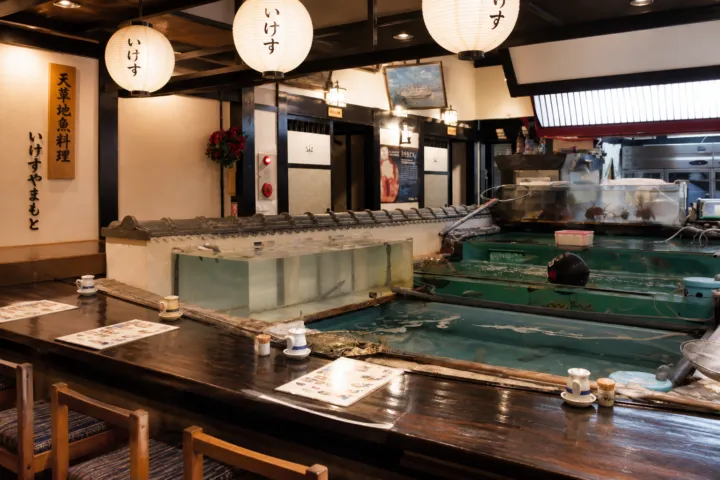 天草地魚料理 いけすやまもとの巨大ないけすと活き造りの食卓
