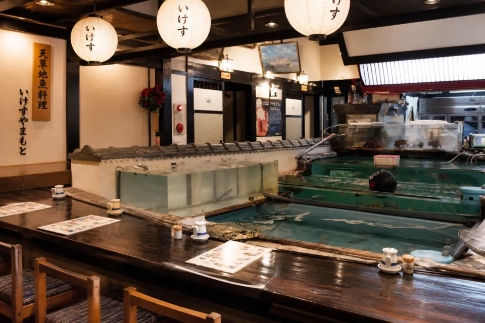 天草地魚料理 いけすやまもとの巨大ないけすと活き造りの食卓