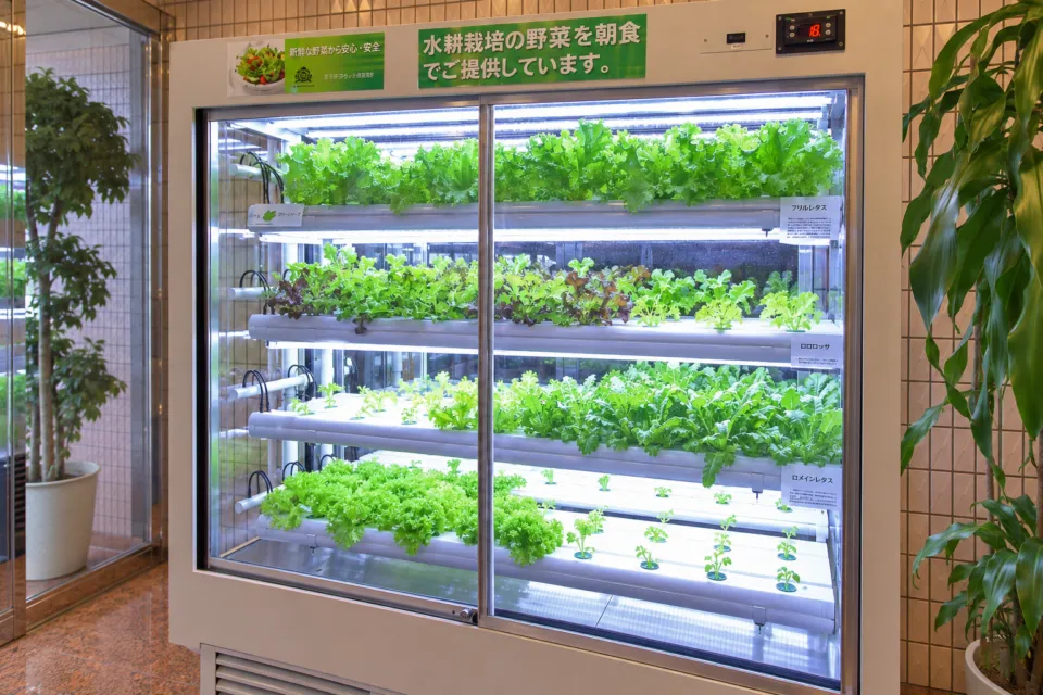 アパホテル〈徳島駅前〉の朝食用野菜の水耕栽培設備