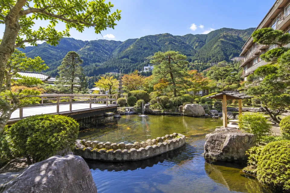 望川館の池と石橋のある日本庭園