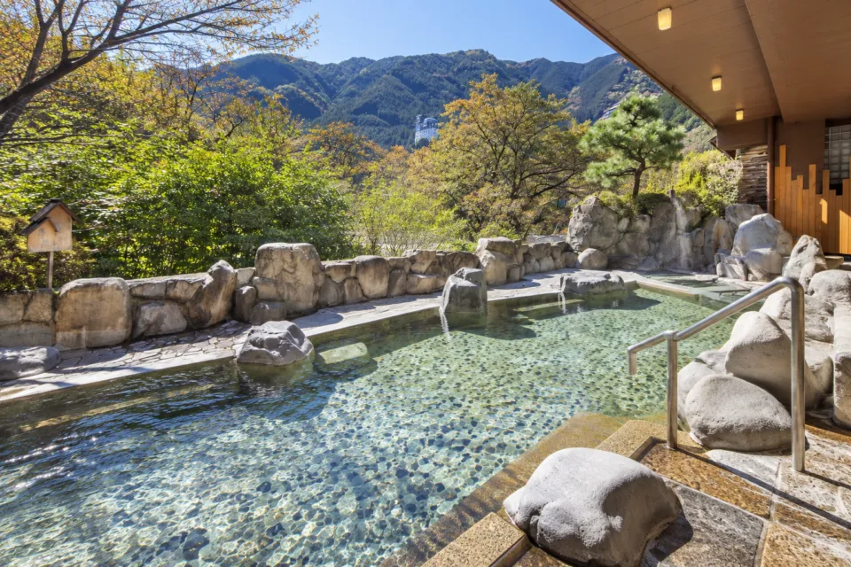 望川館の川沿いの岩造り露天風呂