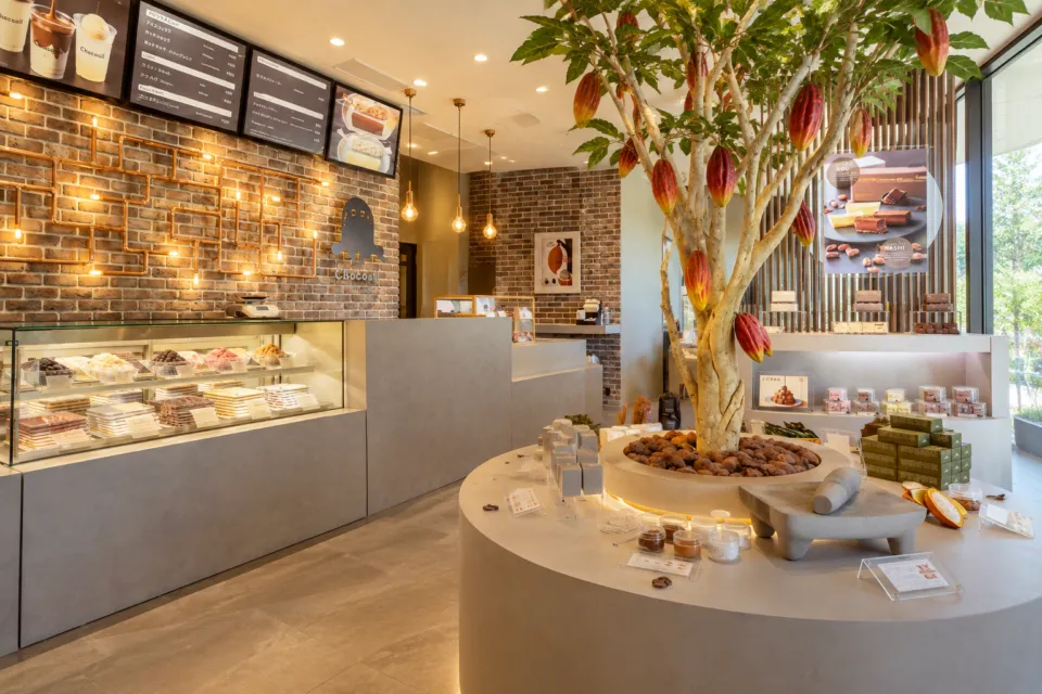 Chocosilのカカオの木を中心に商品棚とショーケースが並ぶ店内