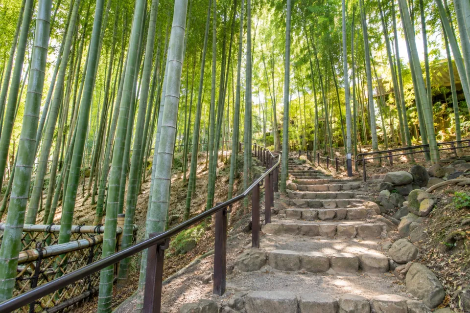 ふふ 奈良の瑜伽山園地の竹林に囲まれた石段