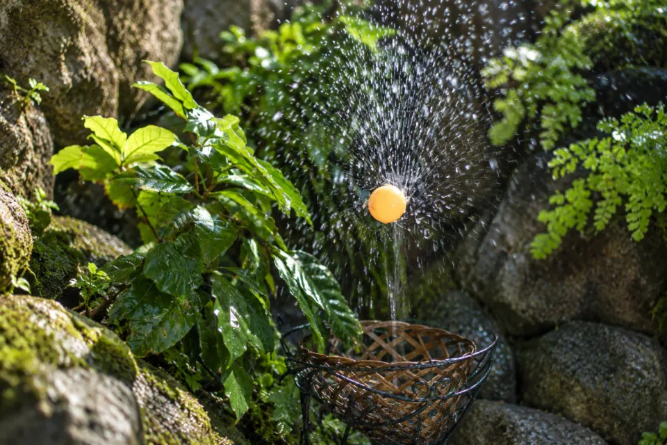 銀水の水しぶきと緑の植栽