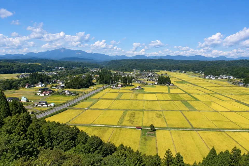 亀の井ホテル 一関の田園と遠くの山並みの眺望
