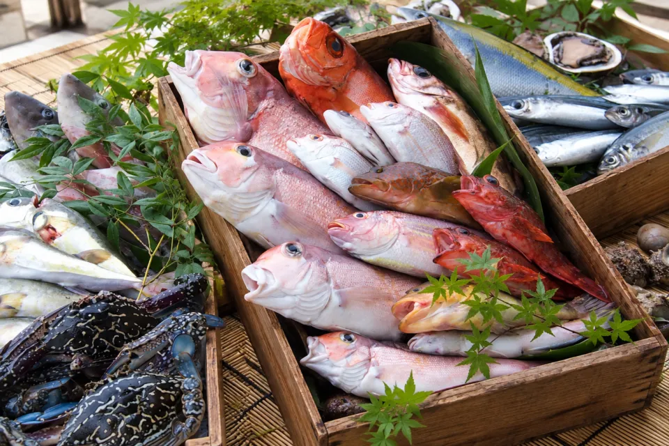 海鮮レストラン来萩の仕入れた魚介