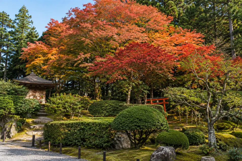 高野山別格本山 一乗院の紅葉に囲まれた庭