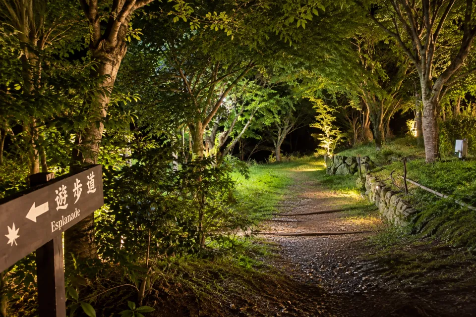 松島佐勘 松庵の木立に囲まれた遊歩道