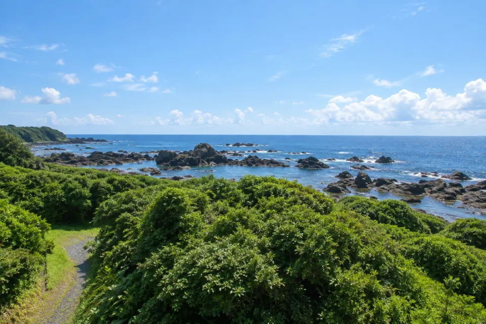 岬観光ホテルの室戸岬海岸眺望