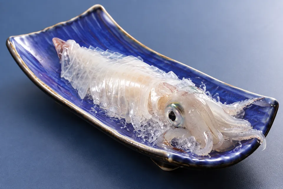 お魚処 玄海の青い器に盛られたイカの活き造り