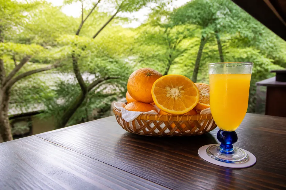茶房 天井棧敷の甘夏ジュース