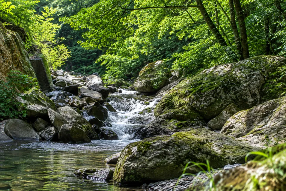 椎葉山荘の敷地内を流れる渓流