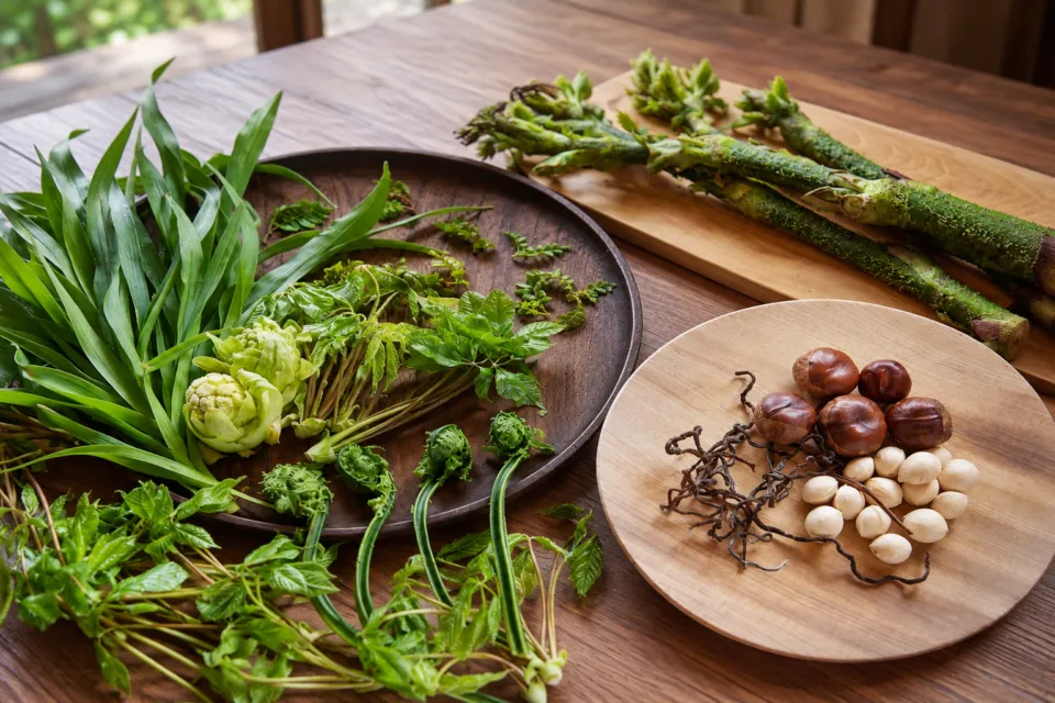 城山館の木の皿に並ぶ山菜などの食材
