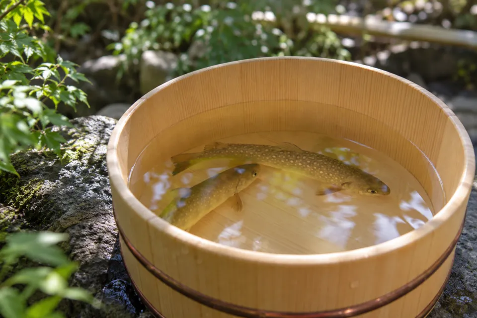 城山館の木桶に入った川魚