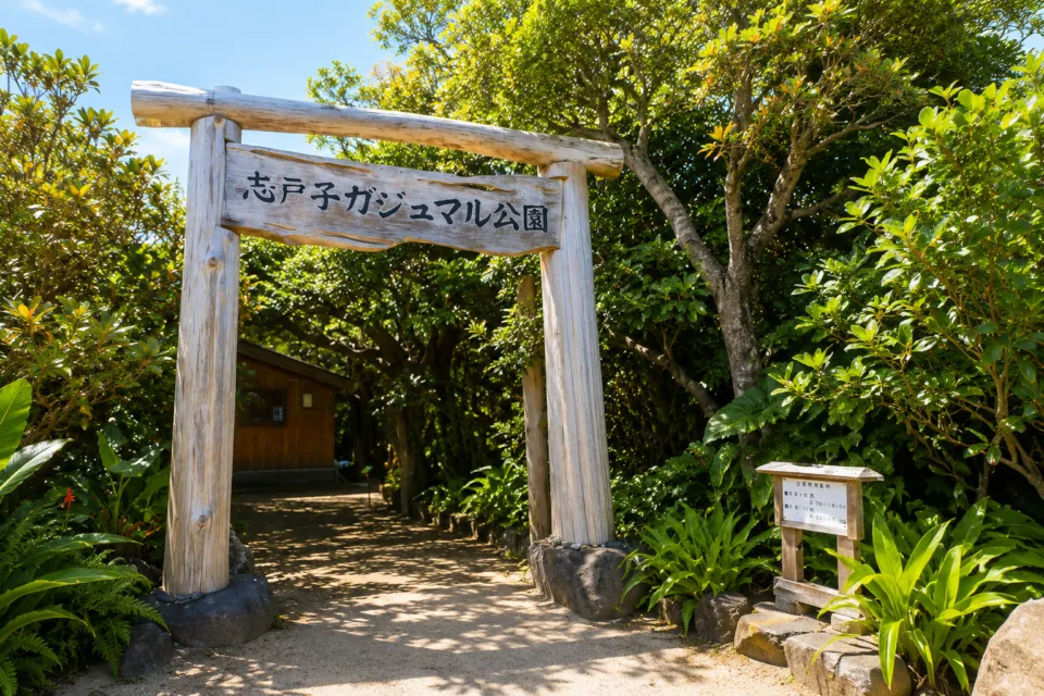 志戸子ガジュマル公園