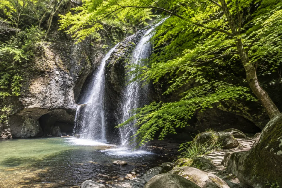 月待の滝 もみじ苑の緑に囲まれた月待の滝