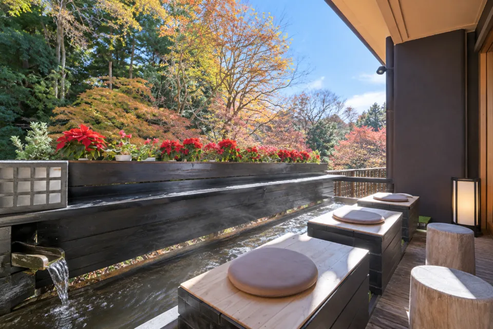 筑波山江戸屋の木々に囲まれた足湯