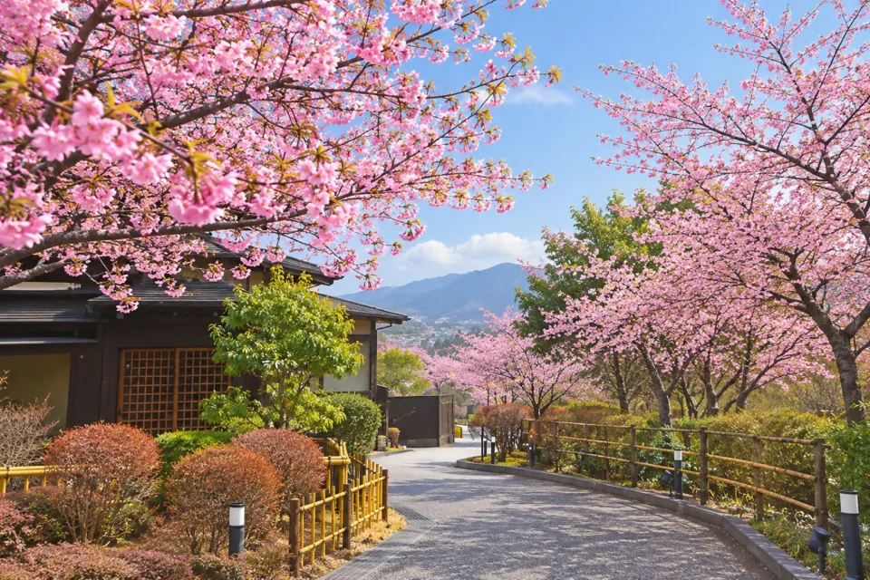 ゆふいん花由の春の敷地を彩る桜