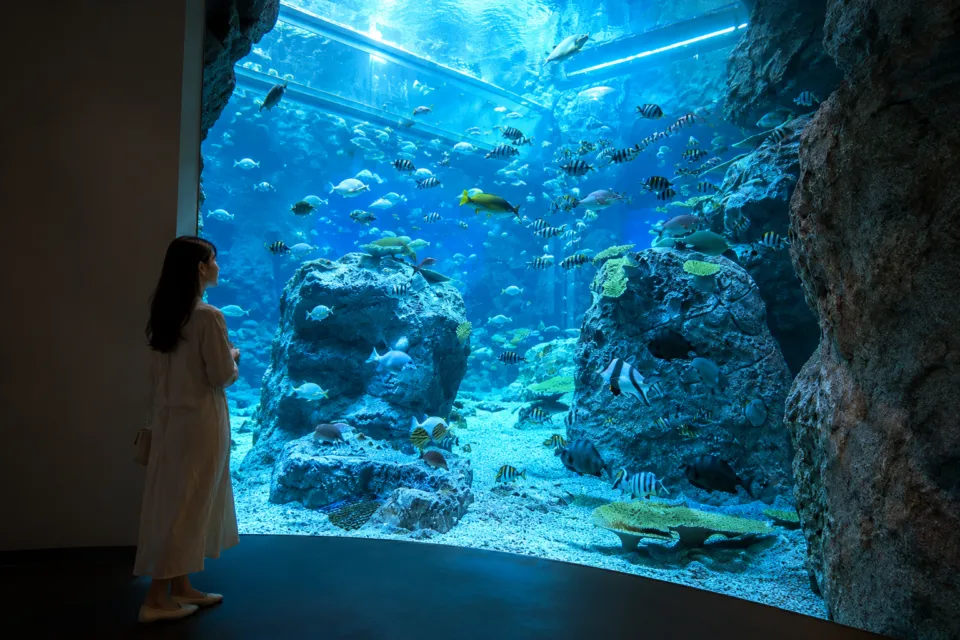 高知県立足摺海洋館 SATOUMI