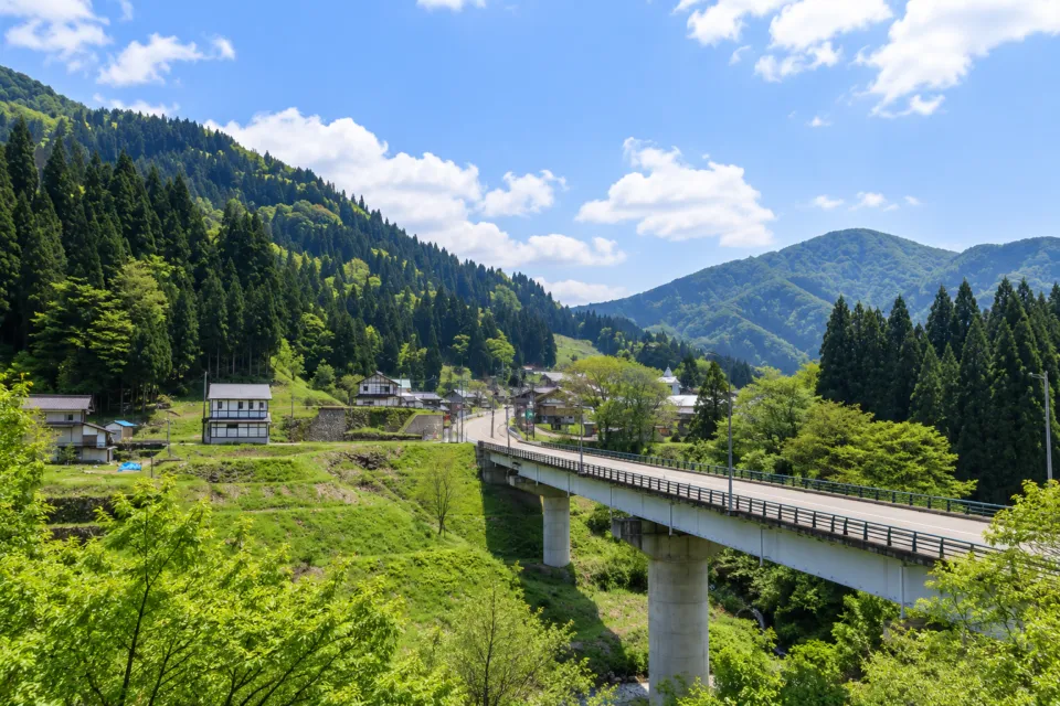 五箇山の味 ふるさとの新緑の山と橋の眺め