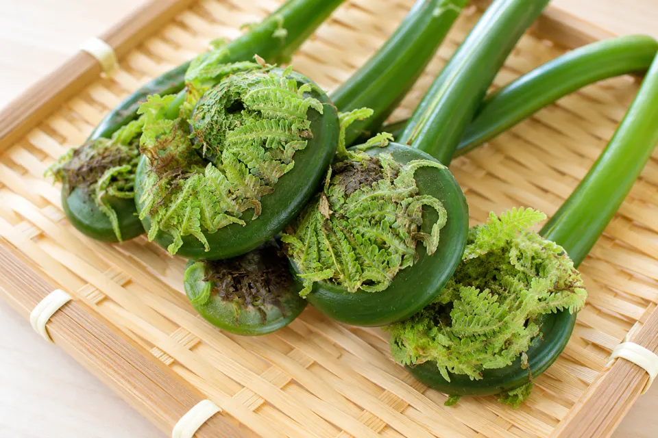 お食事処坂出のざるに載った山菜