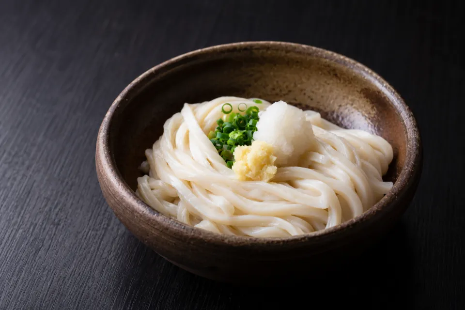 郷屋敷 本店の薬味を添えた讃岐うどん