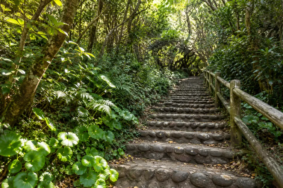 白山洞門