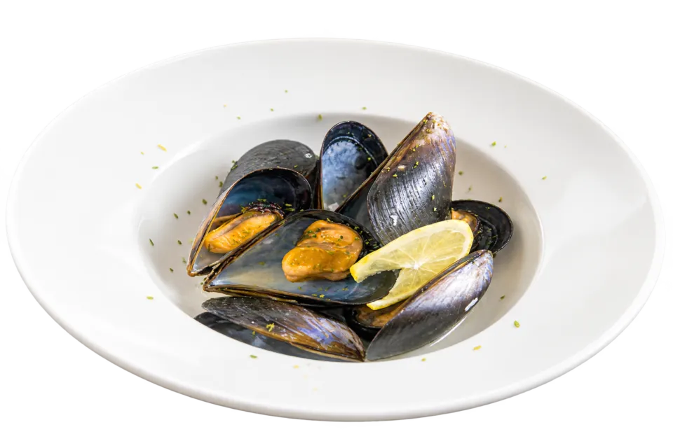 RestaurantCafe&Shop kihacoの白い器の貝料理