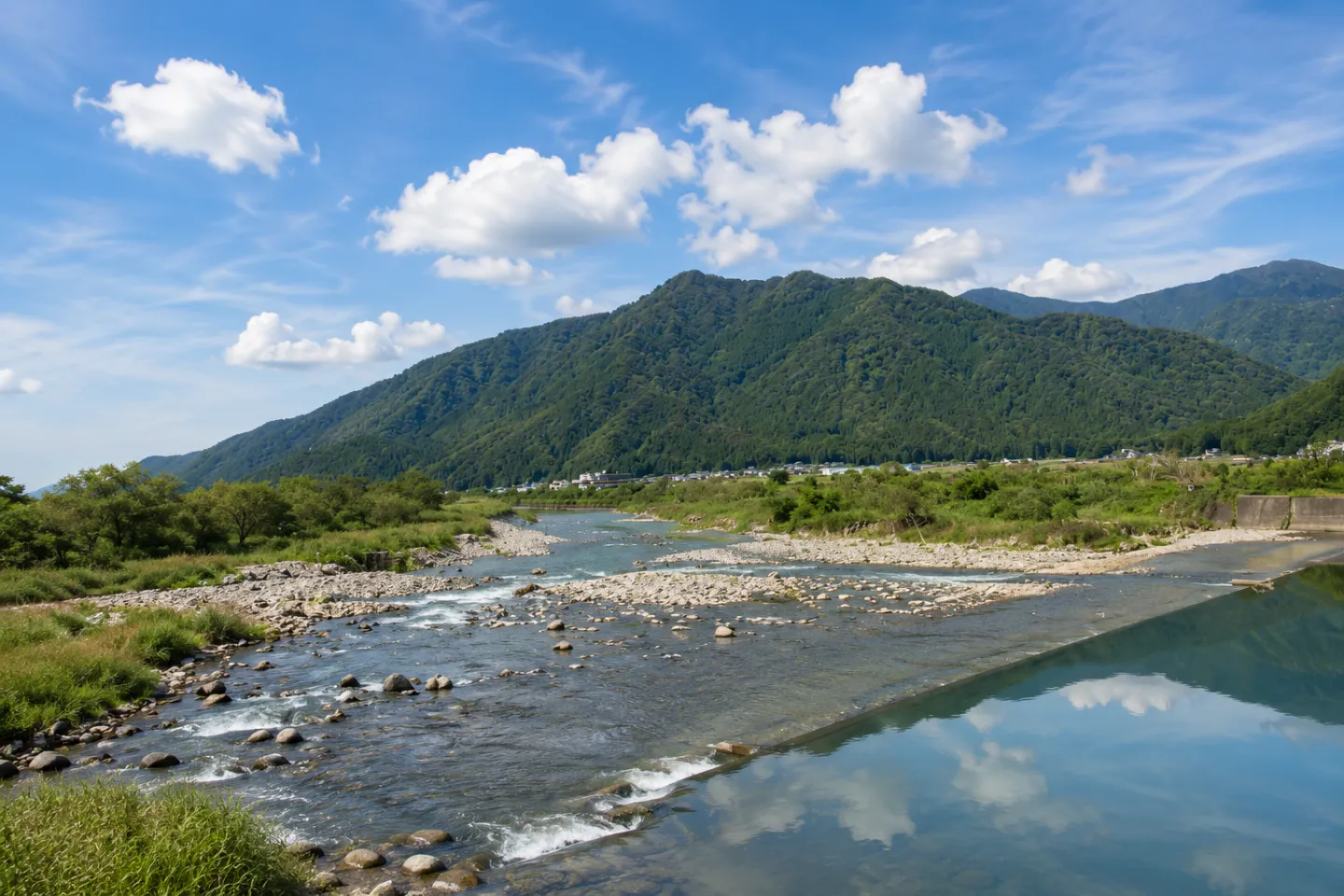 九頭竜川