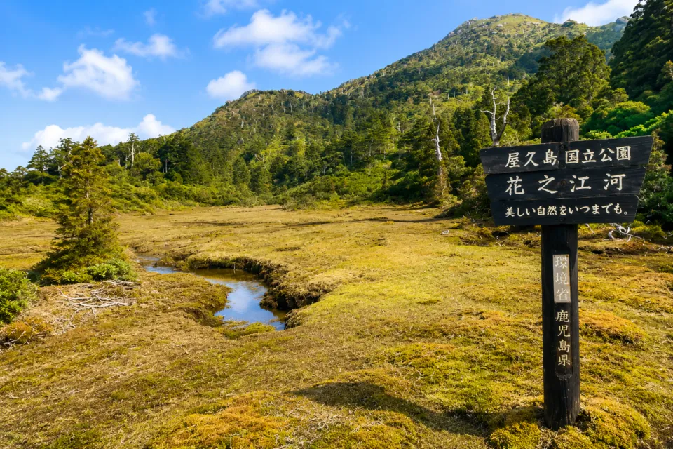 宮之浦岳
