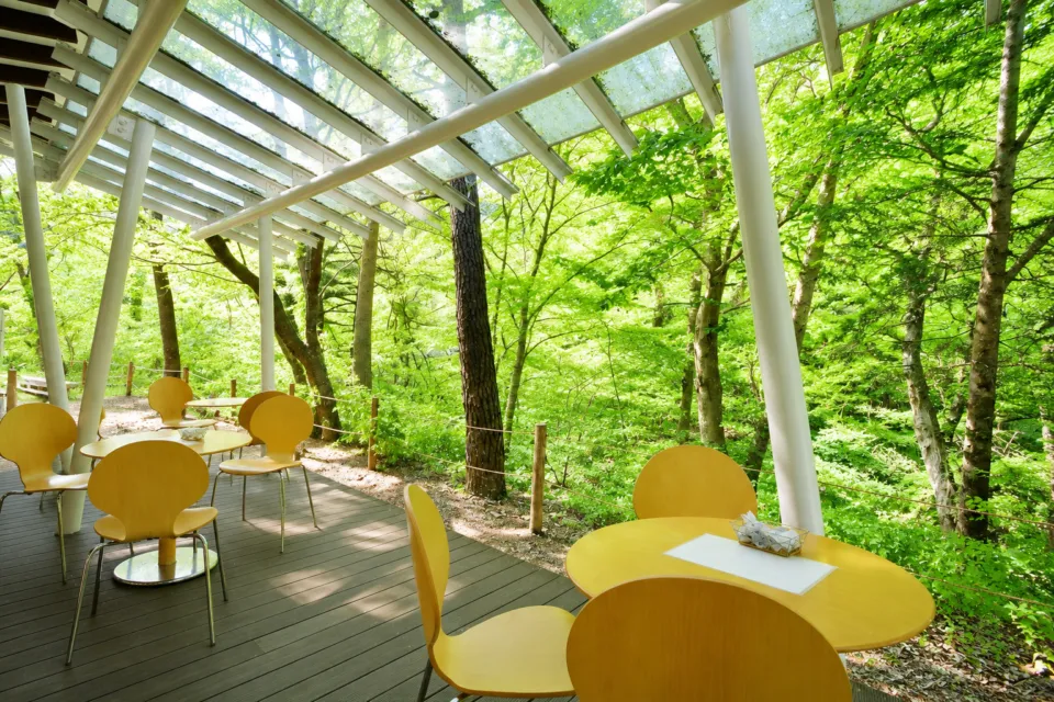 森のカフェKISEKIの緑に囲まれたテラス席