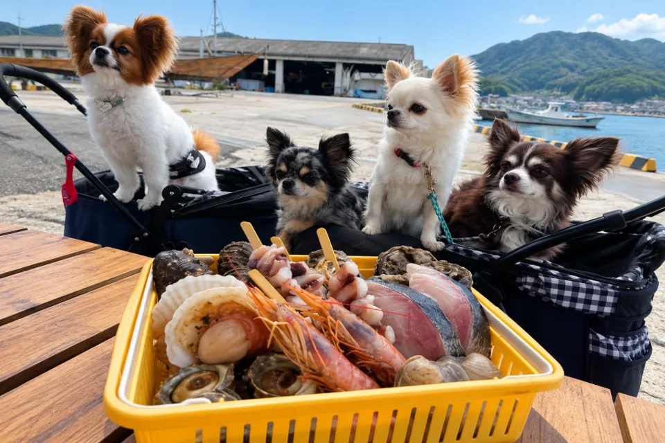 能島水軍のペットと同席した七輪焼きの食材