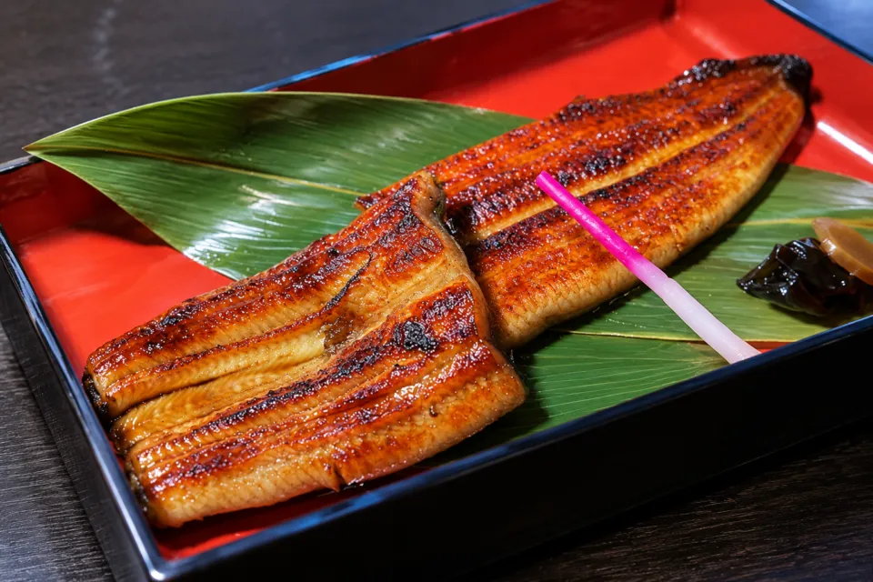 翁 本家のうなぎの蒲焼き