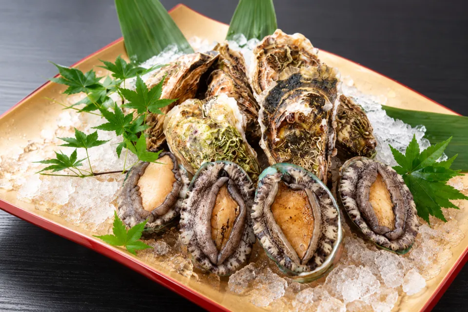翁 本家の貝を氷に盛り付けた料理