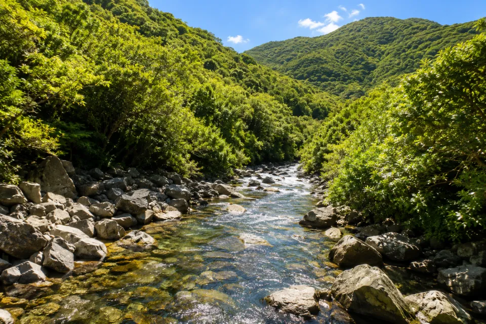 大川の滝