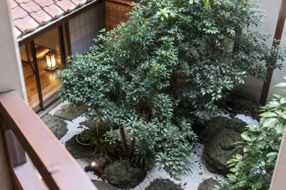 旅館ますやの緑の植栽のある中庭